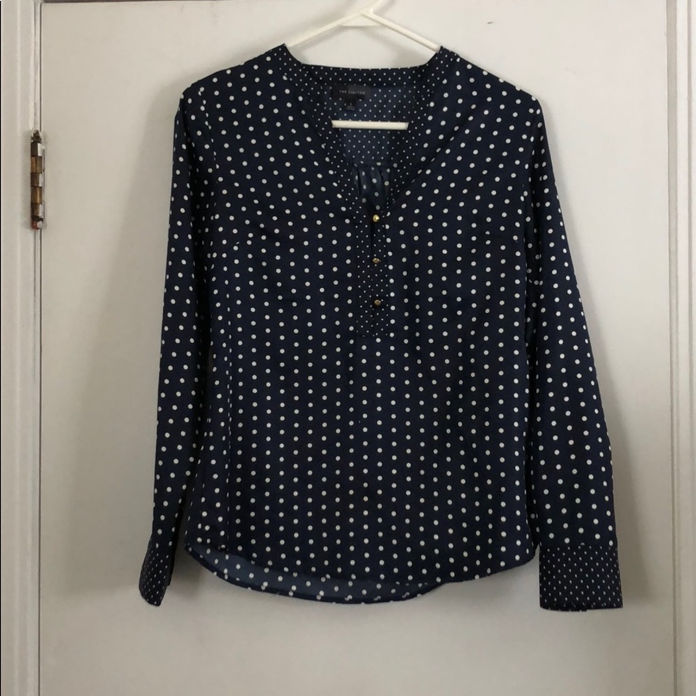 The Limited Blouse